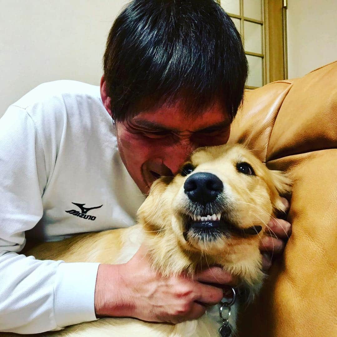 篠原信一さんのインスタグラム写真 - (篠原信一Instagram)「小鉄とニコの大冒険🐾🌀 可愛いから食べる❣️ #柴犬 #しばいぬ #ゴールデンレトリバー #小鉄とニコの大冒険  #shibainu #shibainulover #shibainutoday #shibainuinstagram #shibainudaily #shibainusofinsta #golden #goldenretriever #goldenretrieverlover #goldenretrievertoday #goldenretrieverinstagram #goldenretrieversofinsta #goldenretrieverdaily」3月21日 20時57分 - kotetu__niko