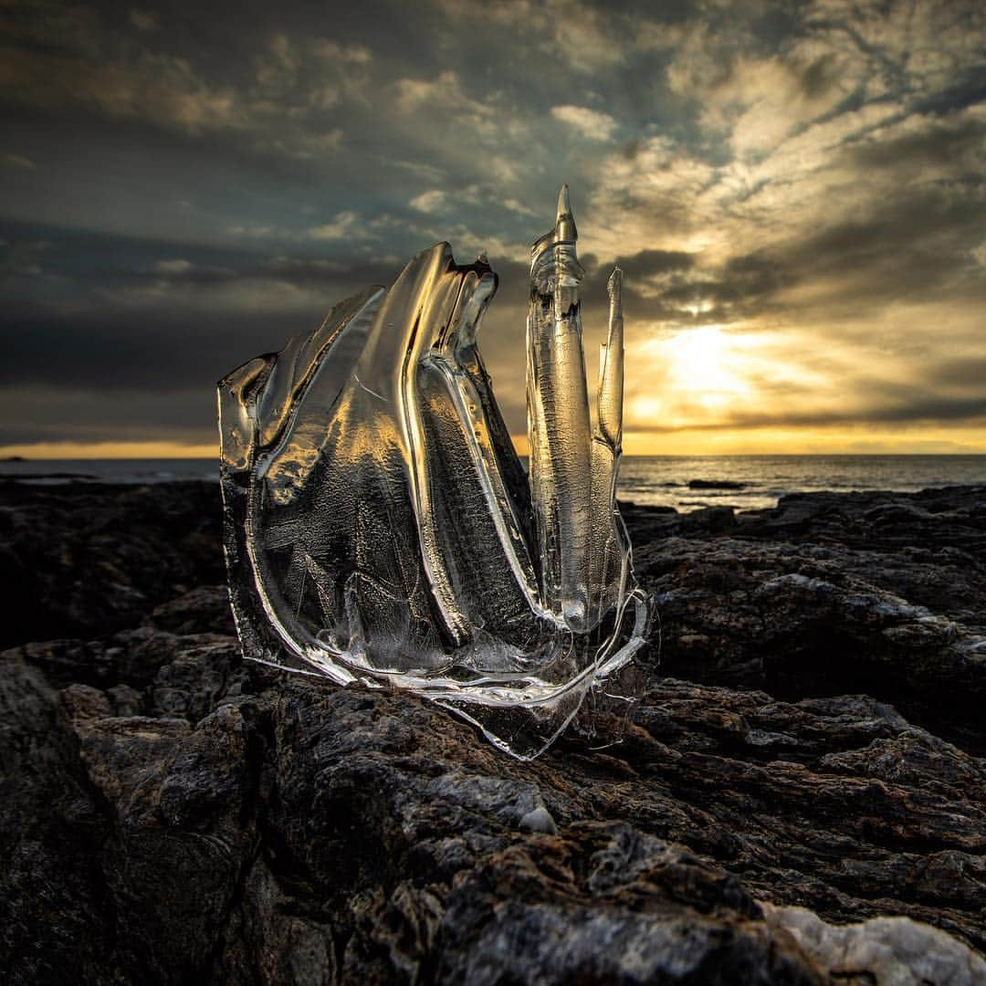 アンジー・ペインさんのインスタグラム写真 - (アンジー・ペインInstagram)「Making the most of broken ice. No, I didn’t find it this way. I found it as a beautiful frozen puddle in the rocks. Then my clumsiness accidentally broke it. Instead of walking away, I decided to put the ice on display, like I had a while back at Lake Haiyaha in Colorado. The morning light was gorgeous and the Maine ice was a work of art, and now I have an ocean version of “ice on display” to go with my mountain one. • • • • •」3月21日 21時00分 - angelajpayne