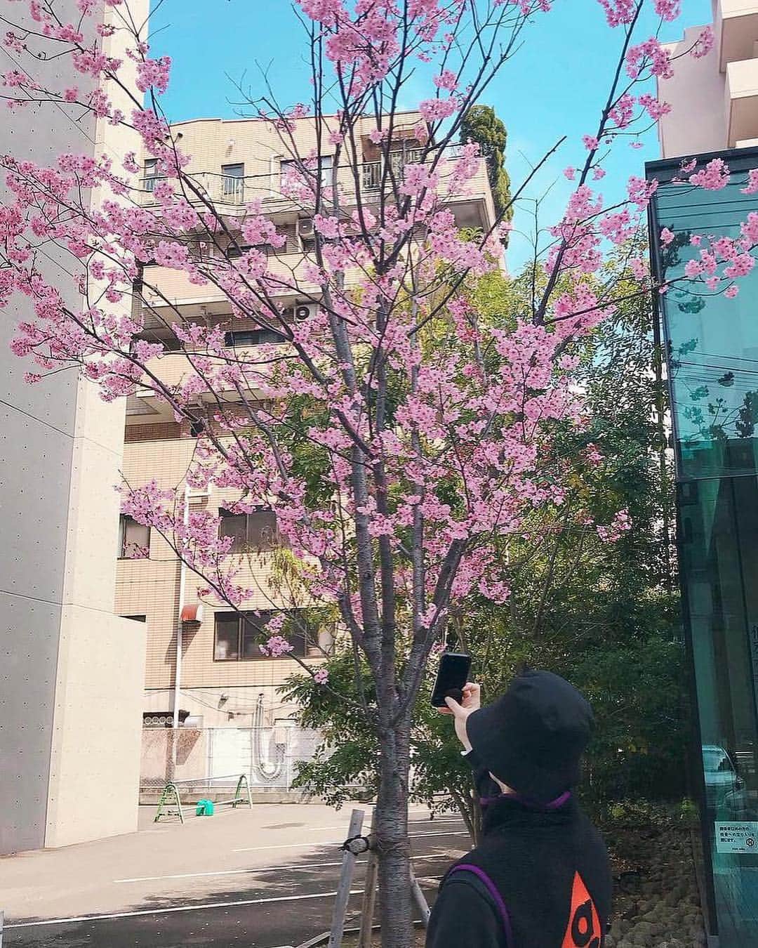 スホさんのインスタグラム写真 - (スホInstagram)「春分🌸」3月21日 21時25分 - kimjuncotton