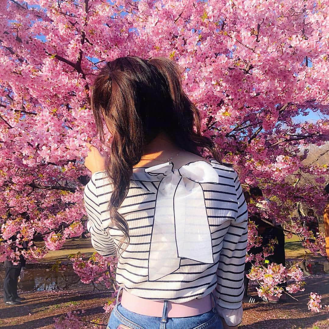 あやちゃんさんのインスタグラム写真 - (あやちゃんInstagram)「代々木公園桜一足先に咲いてたよ🌸💞春コーデでお出かけ☀️ @miia_official のトップスリボンも可愛くてお気に入りなのー🍒💗 #桜 #お花見 #代々木公園 #代々木公園カフェ #お花見 #春コーディネート #春コーデ #明治神宮前カフェ #表参道カフェ #原宿 #今日のコーデ #ファッション #韓国ファッション #miata #fendi #fendibelts」3月21日 21時39分 - aya.you.love.r