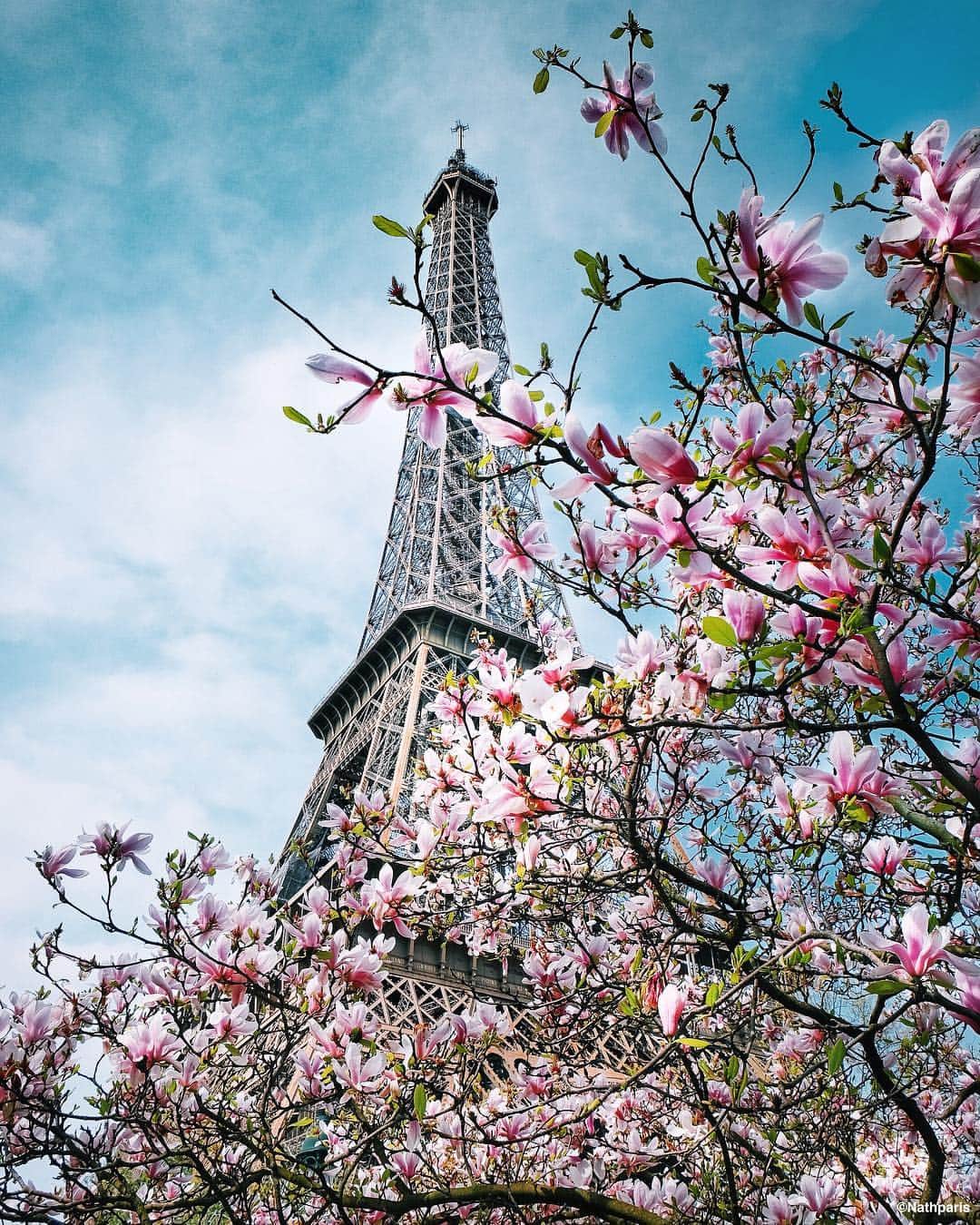 nathparisのインスタグラム：「Springtime 🌸 #paris」