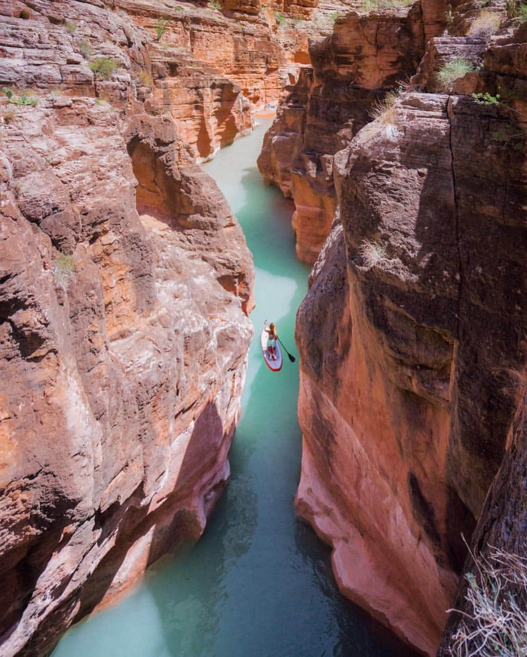 キャセイパシフィック航空さんのインスタグラム写真 - (キャセイパシフィック航空Instagram)「#TravelAdventures: Take the road trip of a lifetime to the Grand Canyon National Park. An iconic natural wonder, the park offers a plethora of outdoor adventures to you immerse yourself in nature's beauty. Get your sing-a-long songs ready! ⠀⠀⠀⠀⠀⠀⠀⠀⠀ 到 #美國大峽谷國家公園 來一次畢生難忘的公路旅行！擁有世界級自然奇觀的大峽谷公園，提供多姿多彩的戶外活動，讓你分分鐘沉醉在大自然的壯麗景色中。⠀⠀ ⠀⠀⠀⠀⠀⠀⠀⠀⠀ Credit: @everchanginghorizon」3月21日 22時24分 - cathaypacific