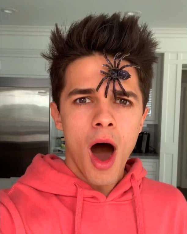 Brent Riveraのインスタグラム：「Scaring Lexi..🕷😱😂 @lexibrookerivera TAG A FRIEND😂」