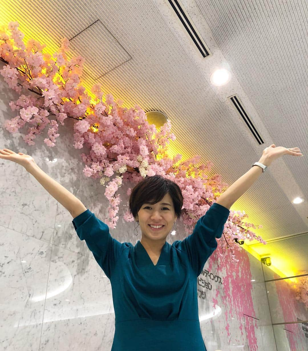 フジテレビ「THE NEWS α」さんのインスタグラム写真 - (フジテレビ「THE NEWS α」Instagram)「東京で今日、桜の開花を発表！  フジテレビの桜は満開です🌸  #primenewsα#フジテレビ#fujitv#ニュース#椿原慶子#竹内友佳#内野泰輔#鈴木唯#安宅晃樹」3月21日 22時36分 - news_alpha