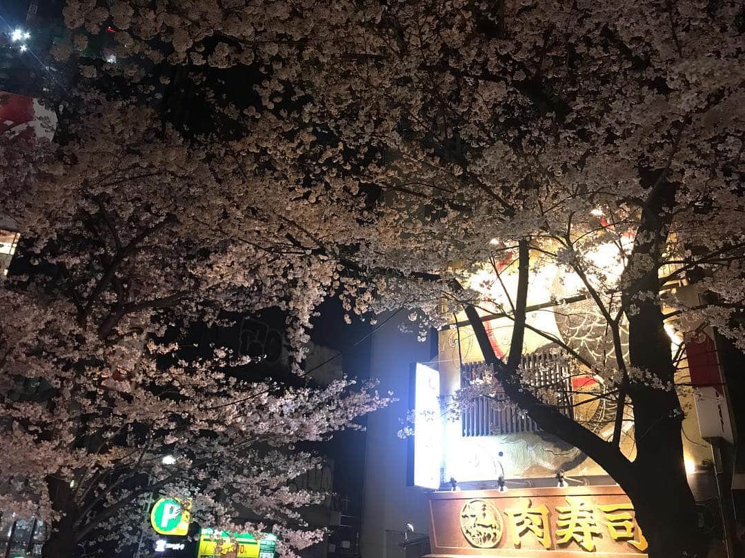 下畑博文さんのインスタグラム写真 - (下畑博文Instagram)「桜丘で桜を見ながら桜肉をいかがですか？ お待ちしとります！ #渋谷 #桜丘 #肉寿司 #桜丘肉寿司」3月21日 22時45分 - shimo.nii