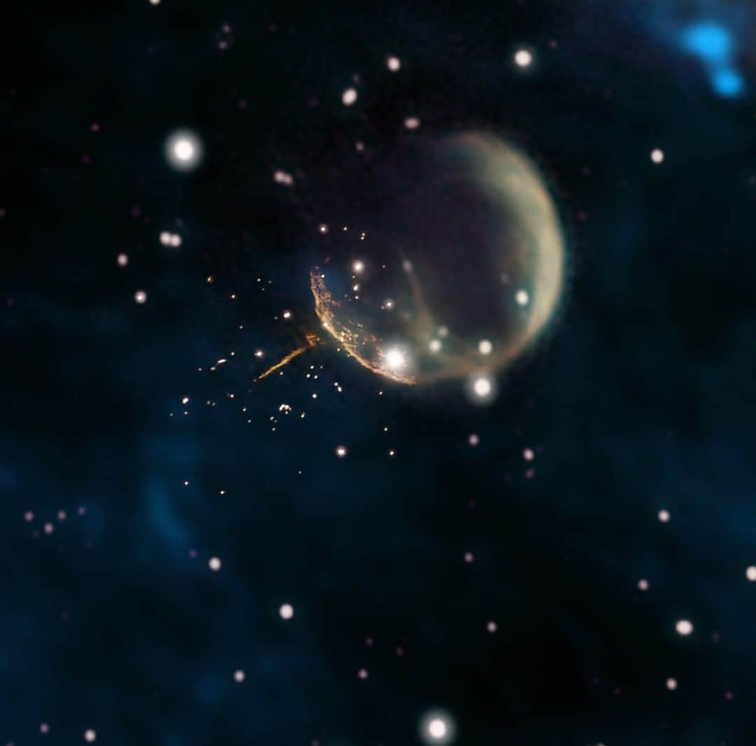 NASAさんのインスタグラム写真 - (NASAInstagram)「Need a boost? How about a supernova explosion to get you going? 💥  Pulsars are superdense, rapidly spinning neutron stars left behind when a massive star explodes. This one is hurtling through space at nearly 2.5 million miles an hour — so fast it could travel the distance between Earth and the Moon in just 6 minutes.  Credits: Composite by Jayanne English, University of Manitoba, using data from NRAO/F. Schinzel et al., DRAO/Canadian Galactic Plane Survey and NASA/IRAS  #Supernova #PickMeUp #NASA」3月21日 23時12分 - nasa