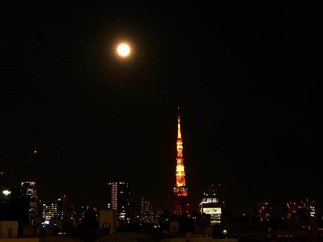 ヒガリノさんのインスタグラム写真 - (ヒガリノInstagram)「__ . 東京のシンボルを見つめながら 色んな事を考えたきのう。 4月で上京して丸8年。あっという間。 未だ東京タワー、のぼったことないんだけどね。 . 今日は宇宙元旦なんだって。 . #東京 #上京組 #東京タワー #宇宙元旦 #春分の日」3月21日 23時35分 - __higarino__