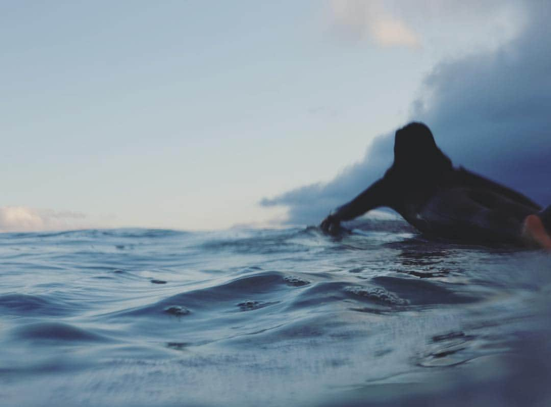 ユン・ジンソさんのインスタグラム写真 - (ユン・ジンソInstagram)「#ilovewater #surfer . . . . . 아 왜 주말마다 파도가 없는 걸까?」3月21日 23時32分 - augustjin