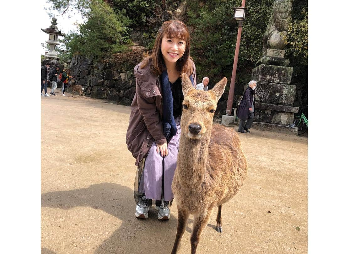 青山郁代さんのインスタグラム写真 - (青山郁代Instagram)「【全国ツアー5都市目！広島公演】 ・ ありがとうございました✨ ・ ・ ミス・サイゴン2012、キューティ・ブロンド2017に続き舞台で訪れるのは３度目の広島でした。 ・ 母が生まれ育った故郷、大好きな街です！ ・ 劇場のある廿日市市は〈けん玉発祥の地〉だそう！ というわけでエルママでけん玉と一緒に📸日本文化とエルママのコラボ。 ・ ・ また舞台で広島に帰ってこられますように☺️💕 ・ ・ 4日間滞在できたので、宮島日帰り旅行や、みんなでウニクレソンなどなど広島名物をいただいたり🍴、神社巡りをしたりと広島を満喫できました🦌✨ ・ 泊まったホテルがミス・サイゴン2012の時と偶然同じで、初めて「ミス・サイゴン」を“広島”で上演できたあの日の事を色々と思い出した今回の旅でした。あの日の感動、忘れません。 ・ ・ そして今回のキューティ・ブロンド広島公演のことも。忘れません✨ ・ 感謝。 ・ #キューティブロンド #広島公演 #廿日市市 #けん玉 #legallyblonde #legallyblondethemusical #musical #神田沙也加 ざっちょ #キャラハンゼミ #エルママ #宮島 #宮島の鹿 #厳島神社 #中ちゃん #ウニクレソン #比治山神社 #白神社 #原爆ドーム #原爆資料館 #平和公園 #ミスサイゴン #misssaigon」3月21日 23時36分 - ikuyo_aoyama