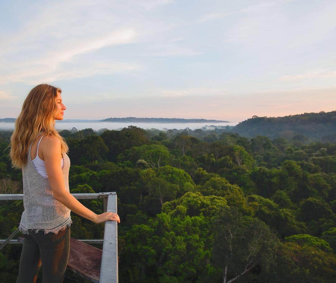 ジゼル・ブンチェンさんのインスタグラム写真 - (ジゼル・ブンチェンInstagram)「Forests are essential for life on Earth. They are part of our lives in more ways than we realize: they help clean the air we breathe and prevent soil erosion, prevent flooding and replenish groundwater. Forests help in controlling humidity and temperature, influencing rain cycles, as well as providing food, water, medicine, and sheltering invaluable biodiversity. We need standing forests not only to ensure balanced climatic conditions on our planet, but also to enable us to continue enjoying the wonders that nature offers us.  #internationalforestday 🌳🌲🌎🍃 As florestas são essenciais para a vida na Terra. Elas fazem parte do nosso dia a dia muito mais do que podemos imaginar: ajudam a limpar o ar que respiramos e a evitar a erosão do solo, prevenindo inundações e reabastecendo os lençóis freáticos; auxiliam no controle da umidade e temperatura influenciando no ciclo de chuvas, além de prover comida, água, remédios e de abrigar uma biodiversidade inestimável. Precisamos das florestas em pé não só para garantir condições climáticas equilibradas em nosso planeta, mas também para podermos continuar usufruindo das maravilhas que a natureza nos oferece. #diainternacionaldafloresta」3月22日 0時06分 - gisele