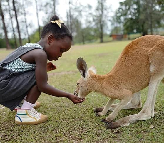 People Magazineさんのインスタグラム写真 - (People MagazineInstagram)「Lauren and Thomas Rhett Akins are raising two adorable animal lovers! ❤️ #Regram @laur_akins」3月22日 0時18分 - people