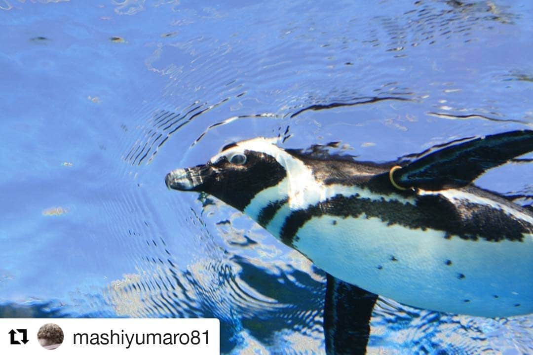 東京カメラガールズさんのインスタグラム写真 - (東京カメラガールズInstagram)「・ 今回のフィーチャーは @mashiyumaro81 さん✨ ご投稿ありがとうございます！ そして、おめでとうございます！！ これからもお写真の投稿楽しみにしています🧡 ・ ・ ぜひ皆さんも、#カメラガールズ #東京カメラガールズ をつけて投稿してみてくださいね📸✨ 素敵な写真を見つけ次第、こちらのアカウントでご紹介させていただきます😍💕 ・ #北海道カメラガールズ #名古屋カメラガールズ #博多カメラガールズ #大阪カメラガールズ #沖縄カメラガールズ #50mm #単焦点 #ポートレート #カメラ女子 #portrait #写真 #写真家  #カメラが好きな人と繋がりたい #写真が好きな人と繋がりたい #写真好きな人と繋がりたい #ファインダー越しの私の世界 #一眼レフ #カメラ初心者 #カメラ部 #部活 #ミラーレス #コンデジ」3月22日 0時38分 - tokyocameragirls