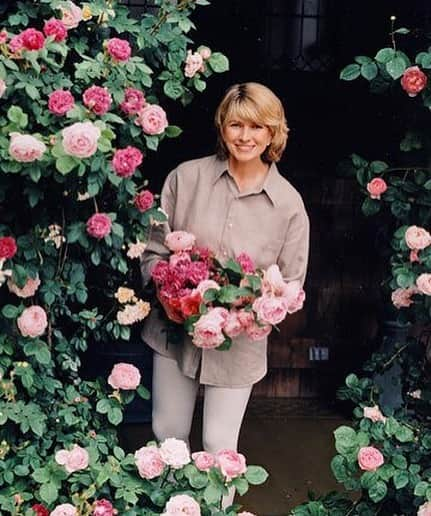 マーサ・スチュワートさんのインスタグラム写真 - (マーサ・スチュワートInstagram)「Look to @marthastewart48’s stunning rose gardens to inspire your gardening this spring! 🌹 For this week’s #TBT, we’re sharing Martha’s secrets to maintaining a healthy and beautiful rose garden. ✨ "With a really good plan and good architecture, you can make a garden happen," said Martha in the April 1994 issue of Living, who began planting her ambitious rose garden in her East Hampton weekend place in 1991. 🌺 By the end of the first season, the climbing roses had scaled their supports, and within a few years, they had achieved their full, mature blooms! Read all about Martha’s gardening tips, favorite rose varieties and more by visiting the link in bio! 👆🏼」3月22日 0時43分 - marthastewart