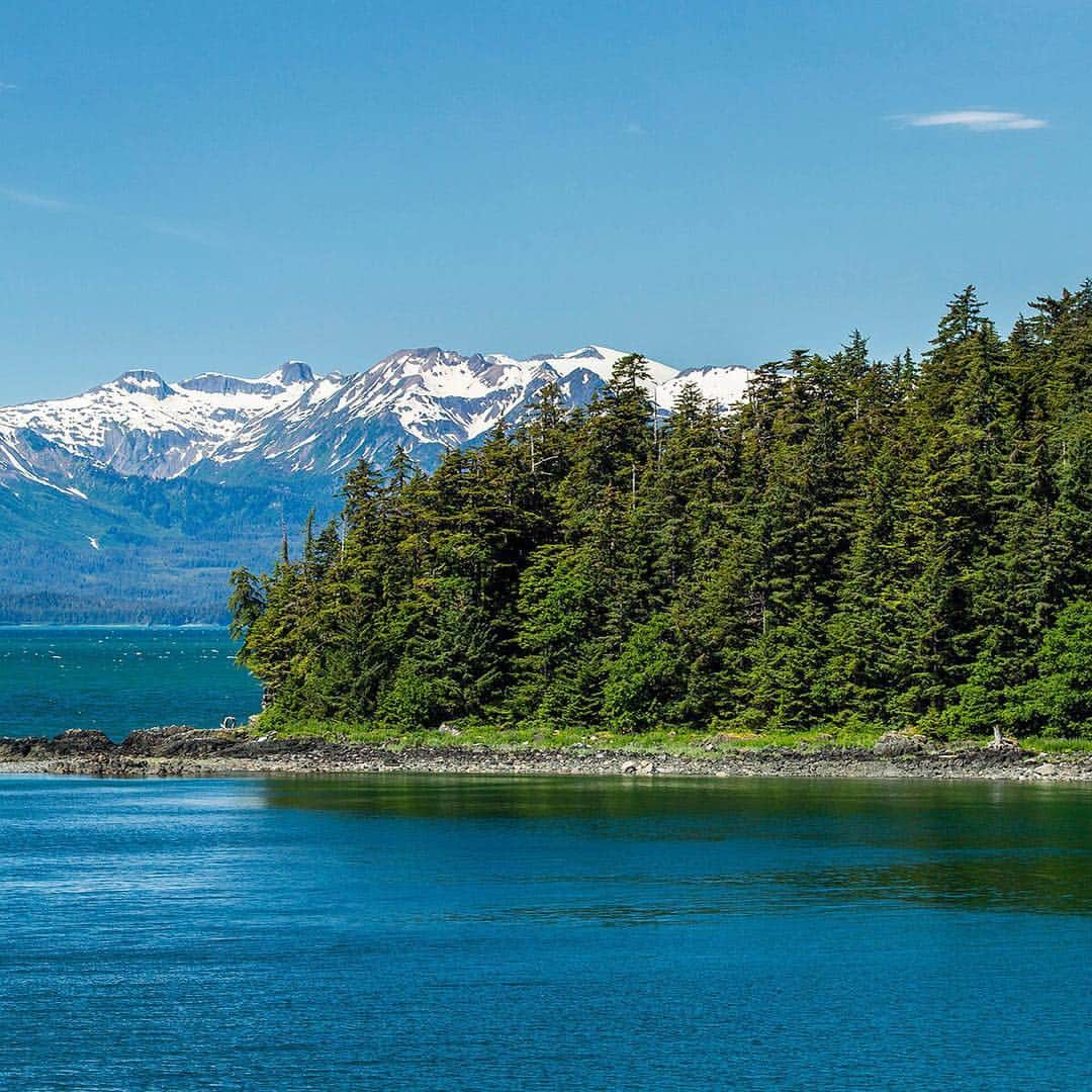 National Geographic Travelさんのインスタグラム写真 - (National Geographic TravelInstagram)「Photo by @stephen_matera | (swipe to see the full image) The Chilkat Moutains rise above Lynn Canal near Eagle River about 20 miles North of Juneau, Southeast Alaska. Lynn Canal runs about 90 miles from the Chilkat River to Stephens Passage and at 2,000' deep, it is the deepest fjord in North America outside of Greenland. Follow me @stephen_matera for more images like this from Alaska and around the world. #SEAlaska #wilderness #lynncanal」3月22日 1時02分 - natgeotravel