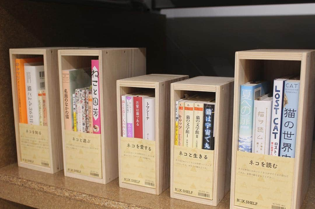 佐藤千晶さんのインスタグラム写真 - (佐藤千晶Instagram)「キキタビロケで本棚専門店“HummingBird Bookshelf”ハミングバード・ブックシェルフさんへ！  本棚と本のセットのプレゼント、ほしいし、あげたい😊  店員さんが考えているタイトル名やそれに合わせて選んだ本たちを 眺めてるだけで楽しくなるお店です。  http://www.hummingbird-bookshelf.net/  #本棚屋さん #本棚専門店 #ハミングバードブックシェルフ #日本橋高島屋sc  #本棚 #本 #本好き  #kikitabi  #キキタビ#radiko #radio #jfn #fm #ロケ #旅 #佐藤千晶」3月22日 1時06分 - satochiaki125