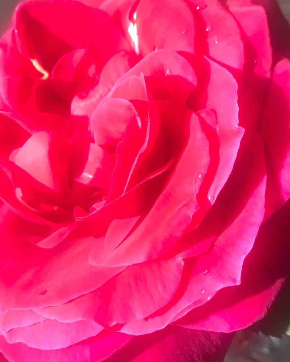 Sachiko Omoriさんのインスタグラム写真 - (Sachiko OmoriInstagram)3月22日 1時35分 - sachikogarcia_