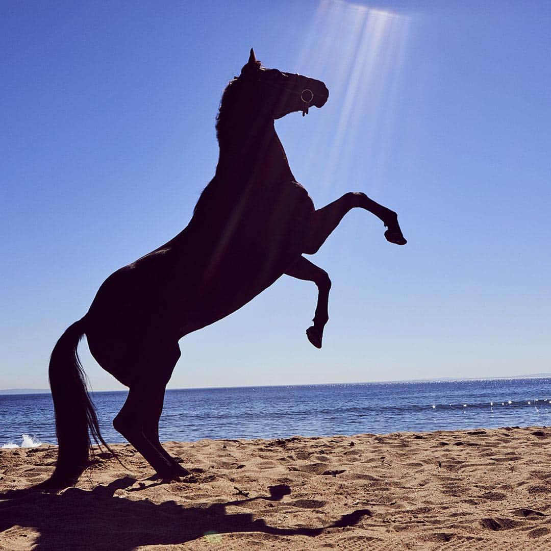 Longchampさんのインスタグラム写真 - (LongchampInstagram)「Try something different. Let the Longchamp Horse guide you to new possibilities.  #TheRide  #BehindTheScenes #LongchampSS19」3月22日 1時46分 - longchamp