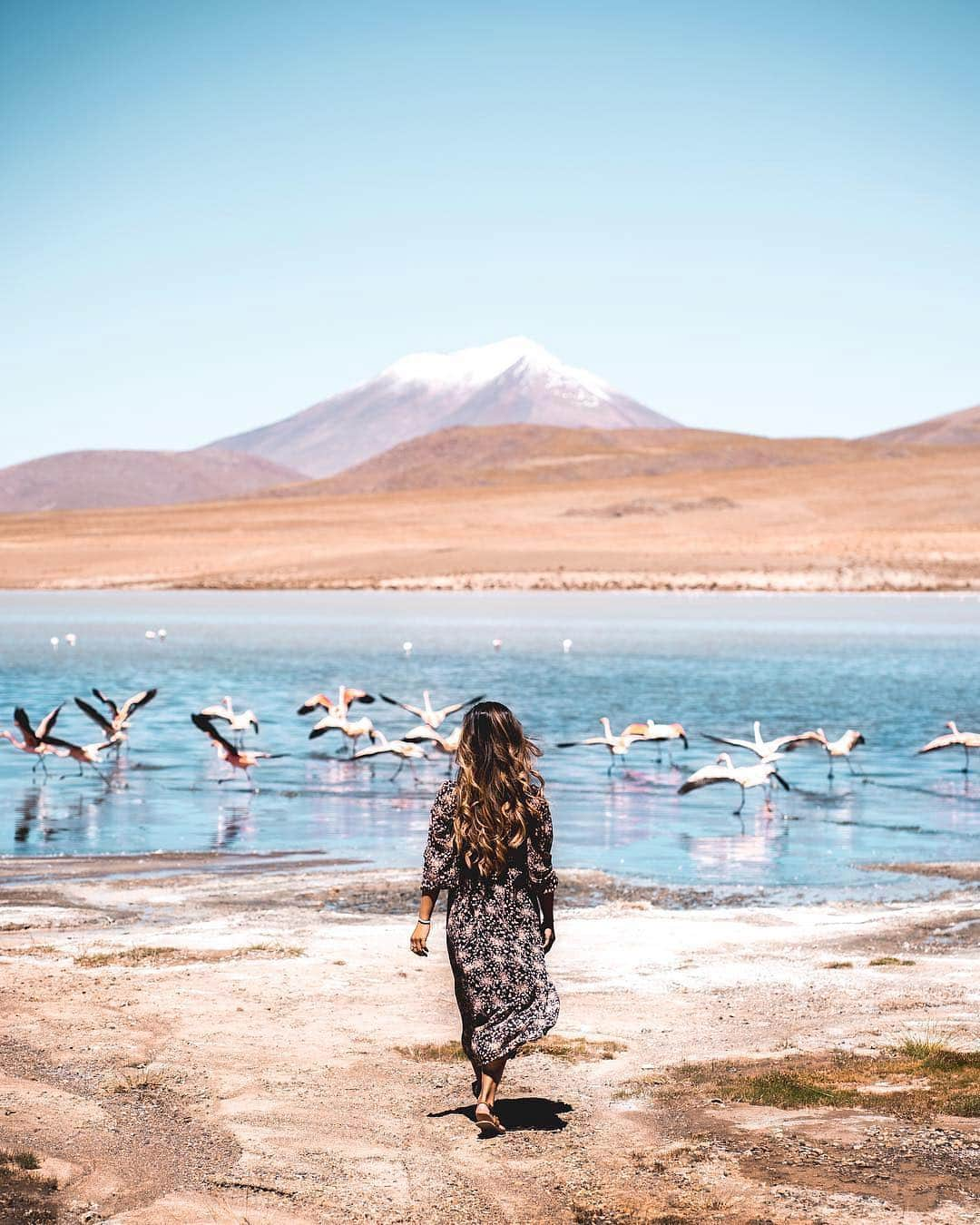 PAUL HEWITTさんのインスタグラム写真 - (PAUL HEWITTInstagram)「Every experience makes you grow. 💫💖 (photo @krystinesc) #getAnchored #paulheiwtt __ #southamerica #visitbolivia #amazingview #borntotravel #prettylittletrips #pinktrotters #femmetravel #travelingpost #globelletravels #dametraveler #beautifulmatters #wearetravelgirls #instatravel #passionpassport #beautifuldestinations #wanderlust #exploretheworld #globetrotter #girlsthatwander #travelinspo #travelgirl #passionpassport」3月22日 2時02分 - paul_hewitt