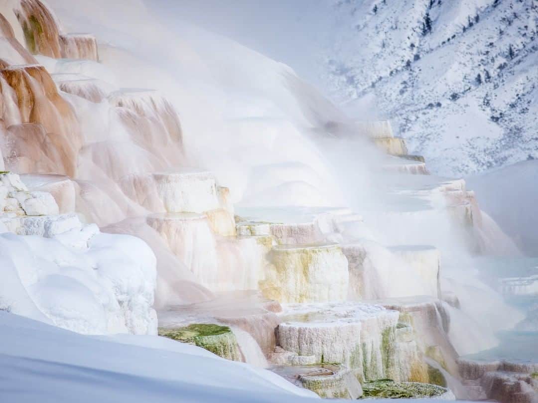National Geographic Travelさんのインスタグラム写真 - (National Geographic TravelInstagram)「Photo by @michaelclarkphoto | Mammoth Hot Springs in Yellowstone National Park on a snowy winter day in Wyoming. On this morning it was -14 F (-26 C) with wind chill down to -20 F (-29 C). It was bitterly cold but the hot springs looked like a winter wonderland when the sun came out. Yellowstone is amazing in winter. There are very few people in the park and driving through the Lamar Valley opens up so many opportunities to see wildlife. Well worth a visit. #wyoming #yellowstone #mammothhotsprings #winter」3月22日 13時03分 - natgeotravel