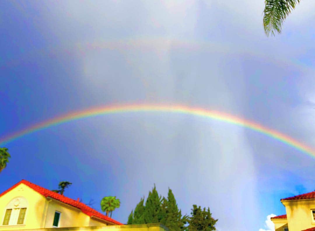 メリッサ・ラウシュのインスタグラム：「Saw these double rainbows on the first day of spring yesterday, but was too busy trying to climb over them to post. 🌈🌈」