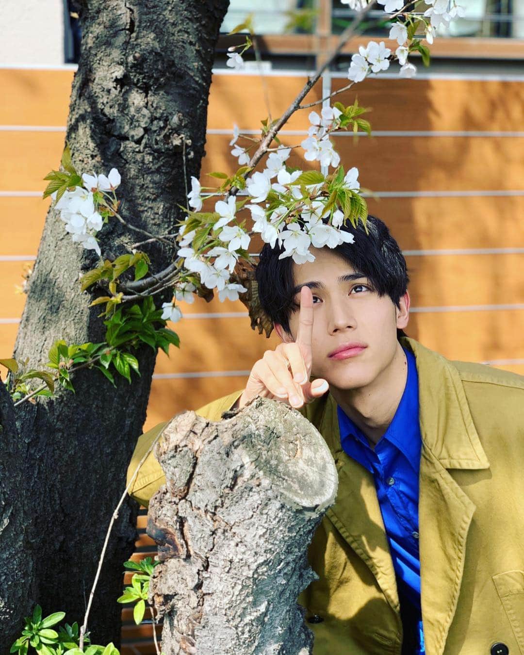 中川大志さんのインスタグラム写真 - (中川大志Instagram)「・ 咲いてた！」3月22日 11時42分 - taishi_nakagawa_official
