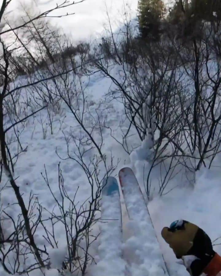 レッドブルのインスタグラム