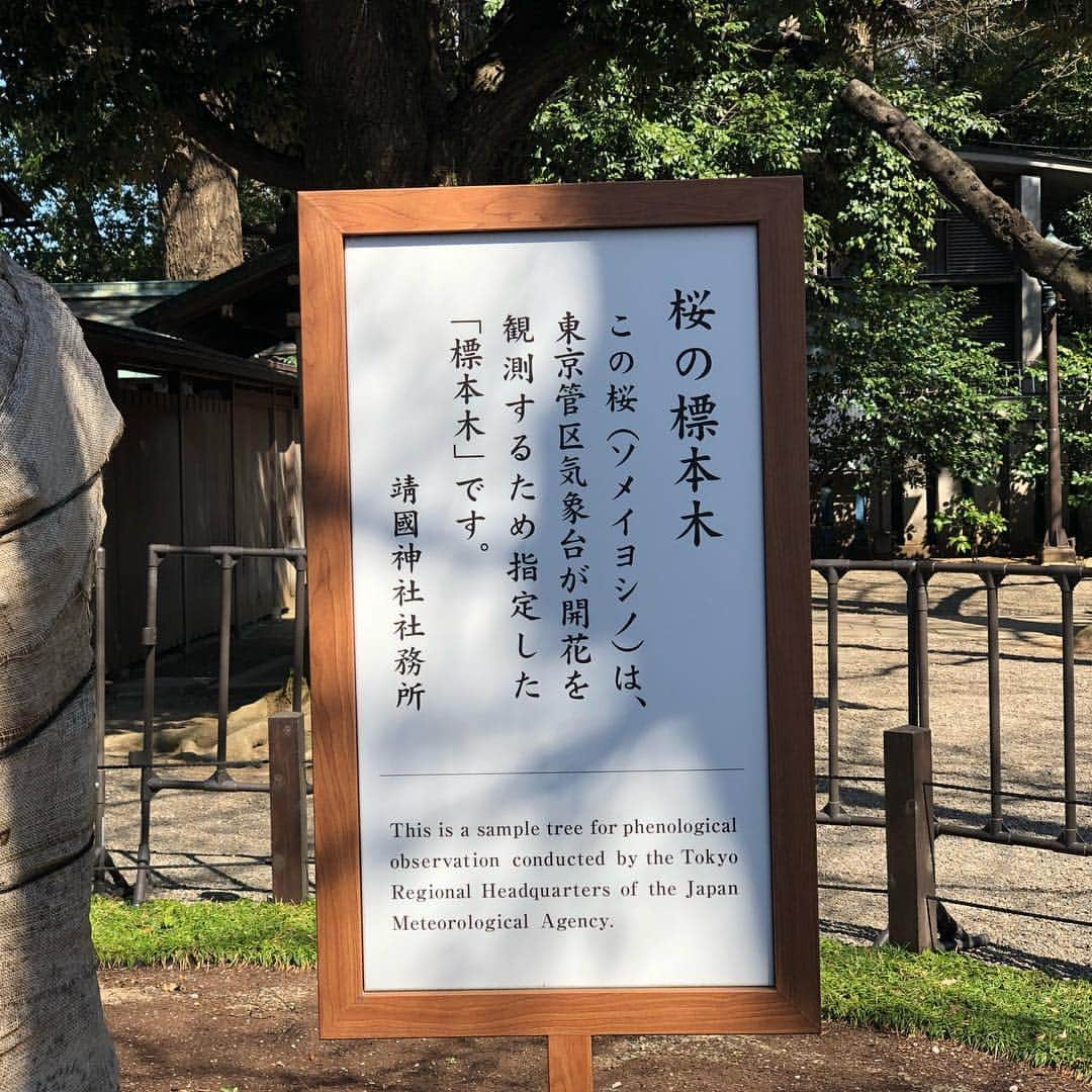 小石田純一さんのインスタグラム写真 - (小石田純一Instagram)「靖国神社の桜の標本木の開花を確認してきました。可愛く咲いてました。春ですね。  #桜 #靖國神社 #開花宣言 #ソメイヨシノ #桜の標本木 #靖国神社 #神社 #神社仏閣巡り」3月22日 12時32分 - koishida.trendy