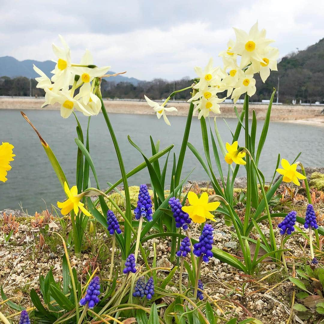 山田佳子のインスタグラム