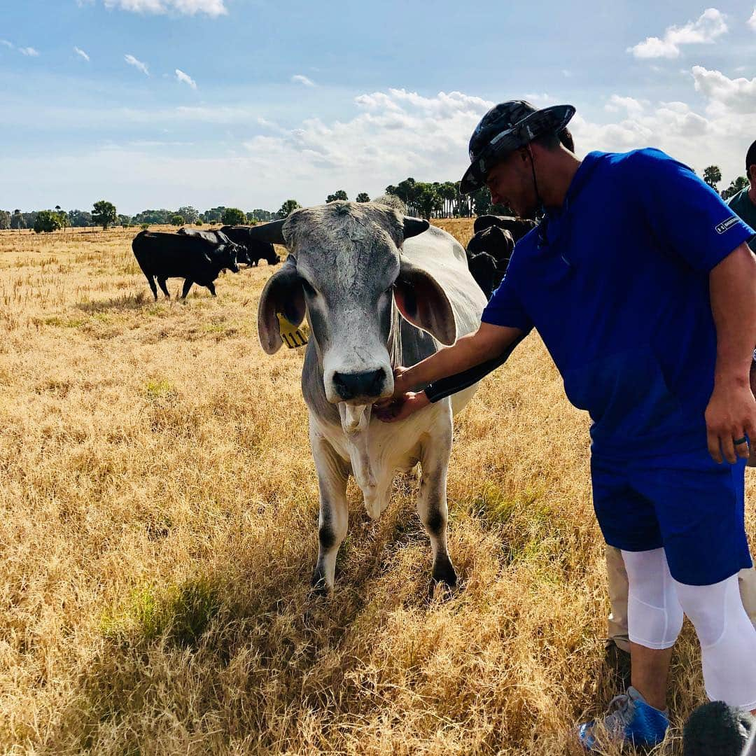 シカゴ・カブスさんのインスタグラム写真 - (シカゴ・カブスInstagram)「Cowboy Willy. 🤠 Check out the new episode of The Offseason with @willsoncontreras40 on YouTube.com/Cubs.」3月22日 4時06分 - cubs