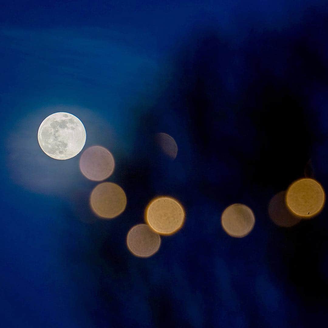 NBC Newsさんのインスタグラム写真 - (NBC NewsInstagram)「The ‘super worm equinox moon,’ the last #supermoon of 2019, rises over #Frankfurt, #Germany. . 📷 Frank Rumpenhorst / dpa via @afpphoto」3月22日 4時10分 - nbcnews