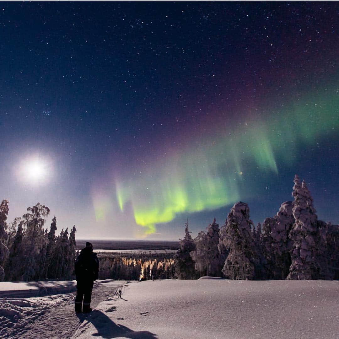 フィンランド政府観光局さんのインスタグラム写真 - (フィンランド政府観光局Instagram)「オーロラシーズンも終わりが近づいてきましたが、まだもうちょっと見られそうです。 ． @bonnejournal さんの写真。Kiitos！」3月22日 5時55分 - visitfinlandjapan