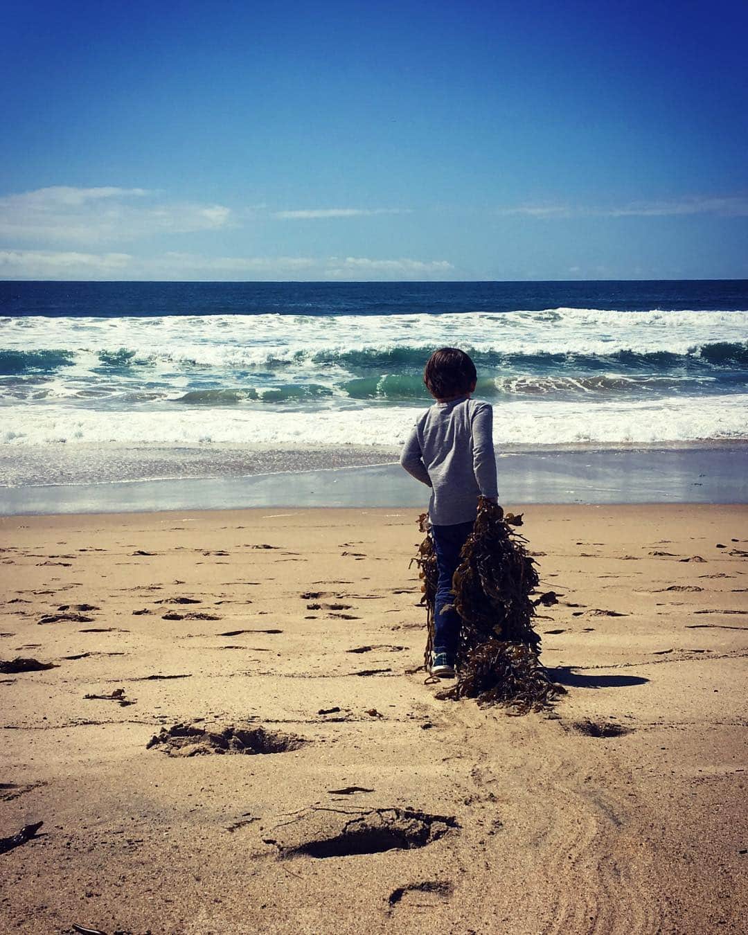 マイケル・マラーキーのインスタグラム：「the young man and the sea」