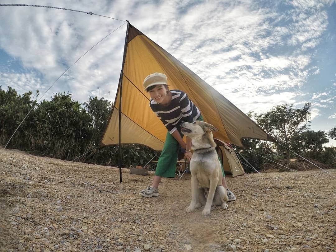 芳美リンさんのインスタグラム写真 - (芳美リンInstagram)「#gopro で、わんこがﾋﾞｮｲｰﾝと近寄ってく画像が撮りたくて。 看板犬こじろーにご協力いただきました。笑 愛犬トイはチビで、大人しいからね🐶🎵 こじろー、無意味な遊びに付き合ってくれてありがとう。  今日までぽかぽかみたいですね🎵 よい１日を♥️ #やんばるBBQキャンプ場 #沖縄#今帰仁村 #snowpeak#スノーピーク #アウトドア女子#アウトドア旅#lynn_trip #人生に野遊びを#campzine掲載希望#ソトシル掲載希望#camphack取材 #旅したくなるフォト  #camp#キャンプ#japantrip #instatrip#キャンプ場#okinawa#アウトドアモデル #ジェットスターで沖縄#ジェットスターアンバサダー#ジェットスター#goproのある生活 #캠프#아웃도어」3月22日 7時02分 - lynn.lynn5