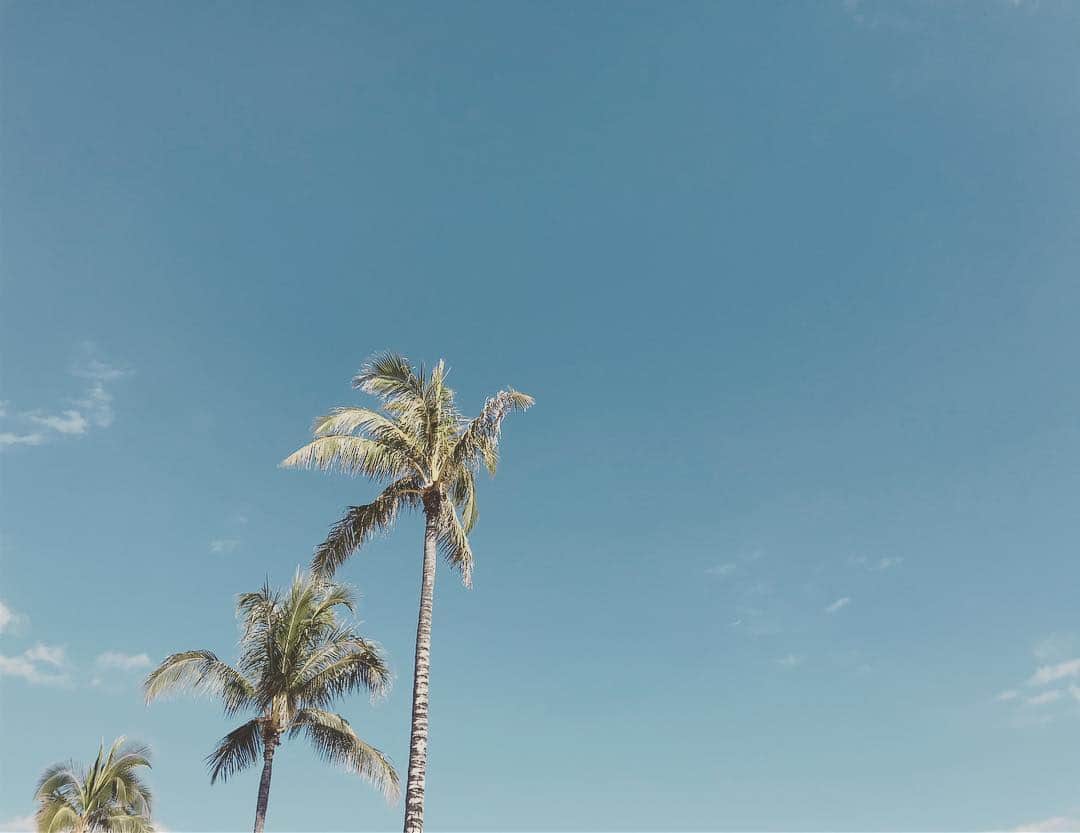 間瀬ゆきさんのインスタグラム写真 - (間瀬ゆきInstagram)「朝からキレイな海見て ぼーっとできるこの環境に本当に感謝しかない🌴 まだ朝晩寒いけど、 ハワイはだいぶ夏らしくなってきたよ！！ 海が気持ちいい季節💙 . #hawaii #hawaiilife #luckywelivehawaii #maseyukihawaii #ハワイ」3月22日 7時26分 - maseyuki