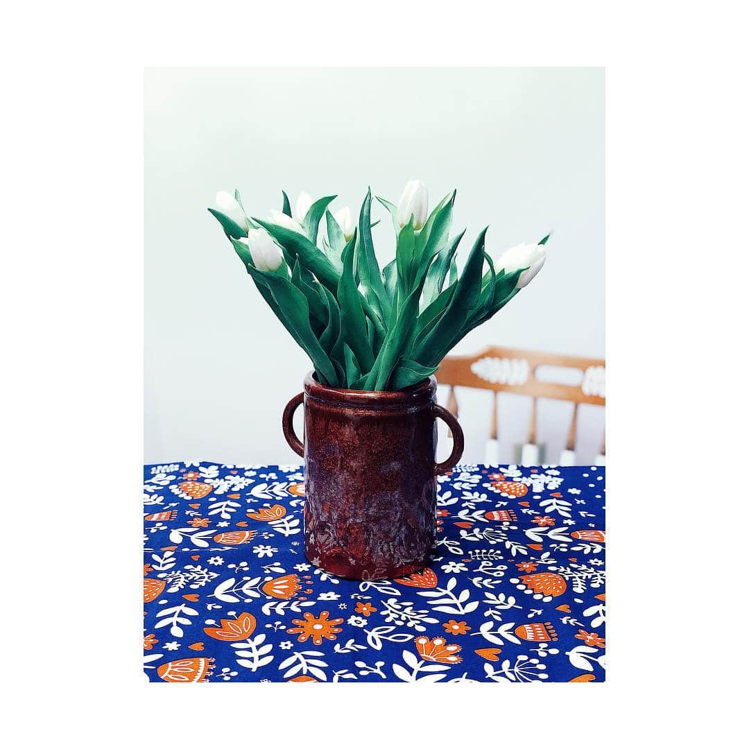 Dinara Mirtalipovaのインスタグラム：「Spring has sprung and it is actually beginning to feel like spring! 🌷 Do you feel your kitchen needs some new fresh colors? To celebrate Spring all #mirdinarakitchen towels are 25%off now through the end of this month, plus free US shipping on mirdinara.com」