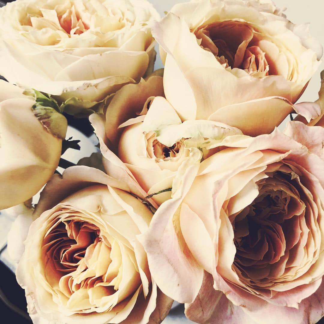 USAGI ONLINEさんのインスタグラム写真 - (USAGI ONLINEInstagram)「💐 #flower #rose #usagionline」3月22日 7時49分 - usagionline