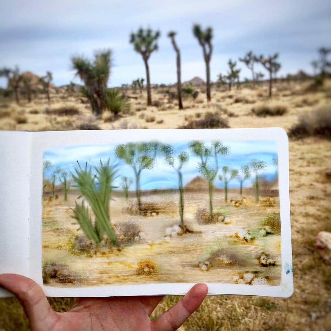 スティーブ・アエンのインスタグラム：「I’ll paint the picture, you tell the story」