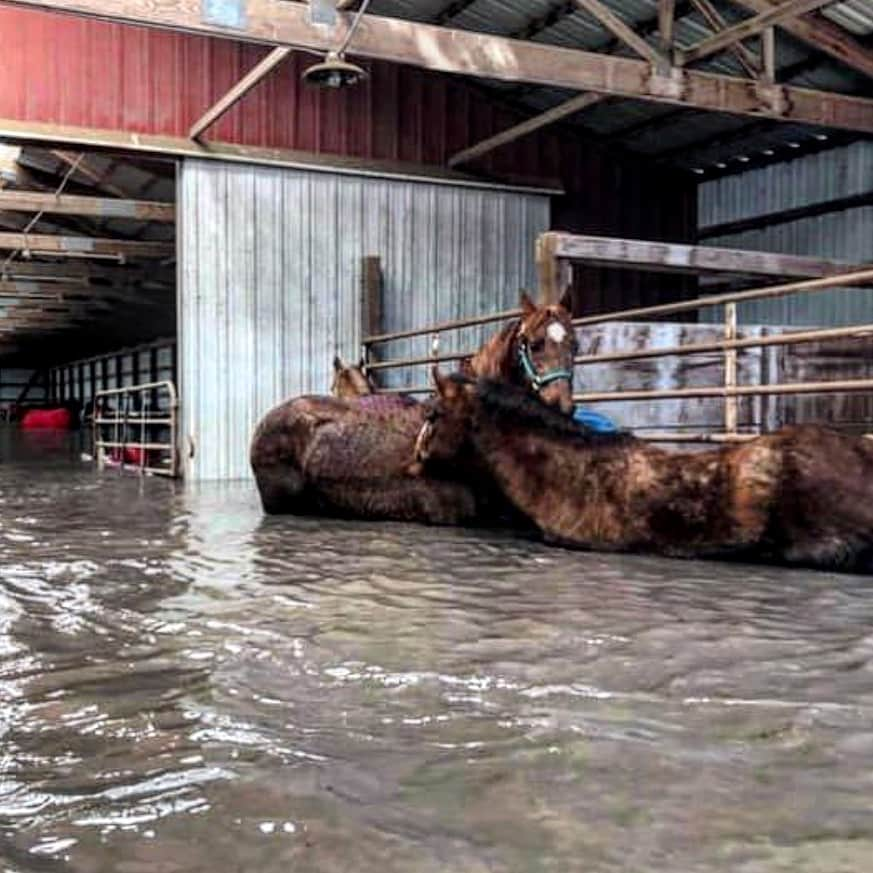 ウィットニー・カミングスさんのインスタグラム写真 - (ウィットニー・カミングスInstagram)「The floods in Nebraska are devastating. A friend of mine is personally going to help so if you can donate even a dollar or even repost the info, that will help. Link in my stories. Please tag anyone who could help, share, or share intel.」3月22日 8時08分 - whitneycummings