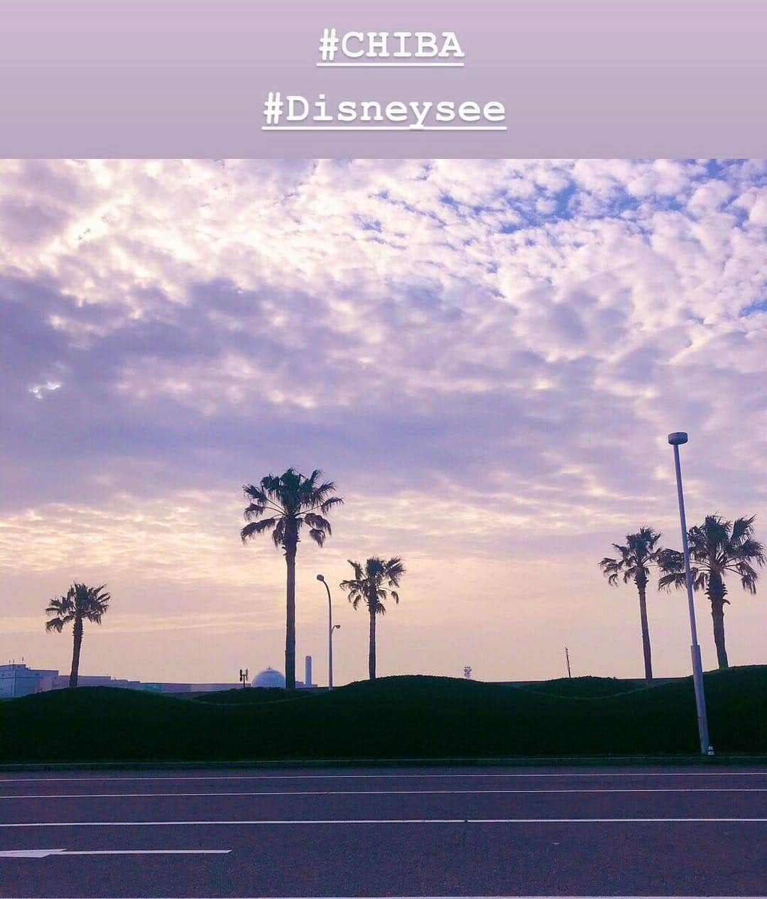 金子エミさんのインスタグラム写真 - (金子エミInstagram)「🇯🇵CHIBAに毎日、ご縁あり💙💜 #CHIBA #disneysee」3月22日 8時13分 - emikaneko1114