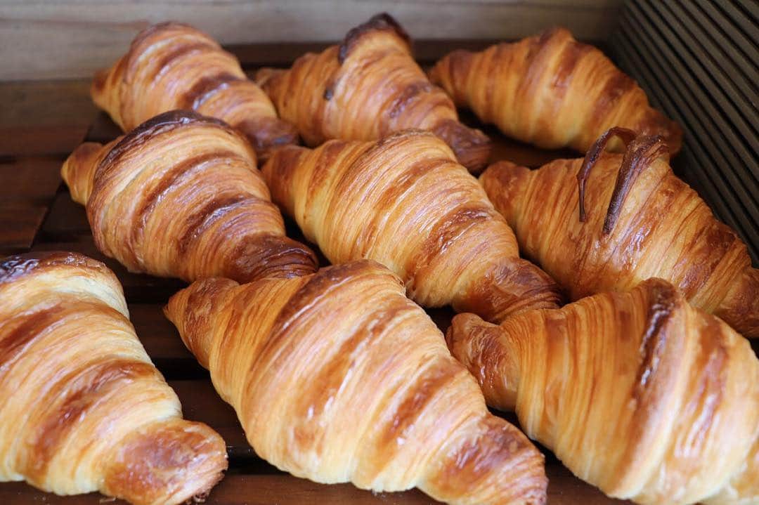 丘の上のパン屋 さんのインスタグラム写真 - (丘の上のパン屋 Instagram)「2019.03.22﻿ ﻿ おはようございます、丘の上のパン屋です。﻿ ﻿ 朝8時からパンが豊富に焼き上がっています。﻿ ぜひご来店よろしくお願いします。﻿ ﻿ ﻿ 昨日は、祝日ということもありたくさんの方にご来店いただきました、ありがとうございます。﻿ ﻿ ﻿ 発酵バターを使用したクロワッサンが焼き上がっています。﻿ 発酵バターにより、コクが深まり特有の風味豊かな、贅沢な仕上がりになっています。﻿ ﻿ 丘パンオリジナルブレンドコーヒーや、ロイヤルキャラメルミルクティー（ムレスナ社の紅茶で、通常の紅茶の5倍の茶葉を使用）と共に、テラスでお召し上がりいただけたらと思います。﻿﻿ ﻿﻿ ﻿ ﻿ パンの焼き上がり時間や種類は、サイトからご確認出来ますのでぜひどうぞ。﻿ プロフィールにURLを記載しています。（ @okanouenopanya ）﻿ ﻿ それでは、今日も焼き立てパンとともに﻿ 宜しくお願い致します。﻿ ﻿ ﻿ −−−−−−−−−﻿ ﻿ 💬 スタッフ募集中です﻿ 新たに一緒に働いてくれる仲間を募集しております。﻿ ﻿ 応募方法は郵送となりますので、詳細はサイトをご確認ください、﻿ ﻿ −−−−−−−−−﻿ ﻿ 💬 ご予約について﻿ ﻿ 先日のテレビ放映後、多くの方にお問い合わせ頂きありがとうございます。﻿ ﻿ おかげさまで、ご予約多数いただいているため、誠に勝手ながら予約可能商品を以下に絞らせていただけたらと思います。﻿ ﻿ ●予約可能商品﻿ ・食パン 9:30 / 14:00﻿ ・カンパーニュ﻿ ・バゲット﻿ ・エッグタルト﻿ ﻿ 📞 045-530-9683（クロワッサン🥐）﻿ ﻿ −−−−−−−−−﻿ ﻿ 🛒 オンラインショップ﻿ ﻿ グルテンフリーの米粉食パンの﻿ 通販を行っております。﻿ サイトからご確認ください。﻿ ﻿ −−−−−−−−−﻿ ﻿ 🏷﻿ #丘の上のパン屋 #クロワッサン #パンオショコラ #ムレスナ #横浜 #青葉区 #たまプラーザ #ベーカリーカフェ #パン屋 #パン #パン屋さん #横浜パン屋 #🍞 #焼き立てパン #美しが丘 #美しが丘西 #田園都市線 #天然酵母 #国産小麦 #bakery #boulangerie #boulanger #yokohama#instabread #instafood #pane #sourdough #naturalyeast﻿ ﻿」3月22日 8時18分 - okanouenopanya