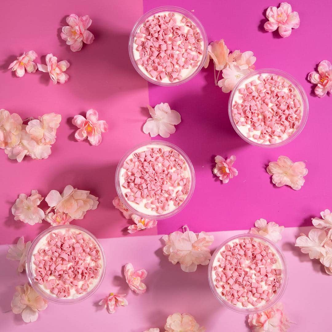 SHAKE SHACKさんのインスタグラム写真 - (SHAKE SHACKInstagram)「We’re kickin’ off spring on a sweet note… Our new Cherry Blossom Shake, made from vanilla frozen custard blended with cherry blossom + topped with pink chocolate curls, is now available for a limited time! 🌸 #shakeshack」3月22日 8時29分 - shakeshack