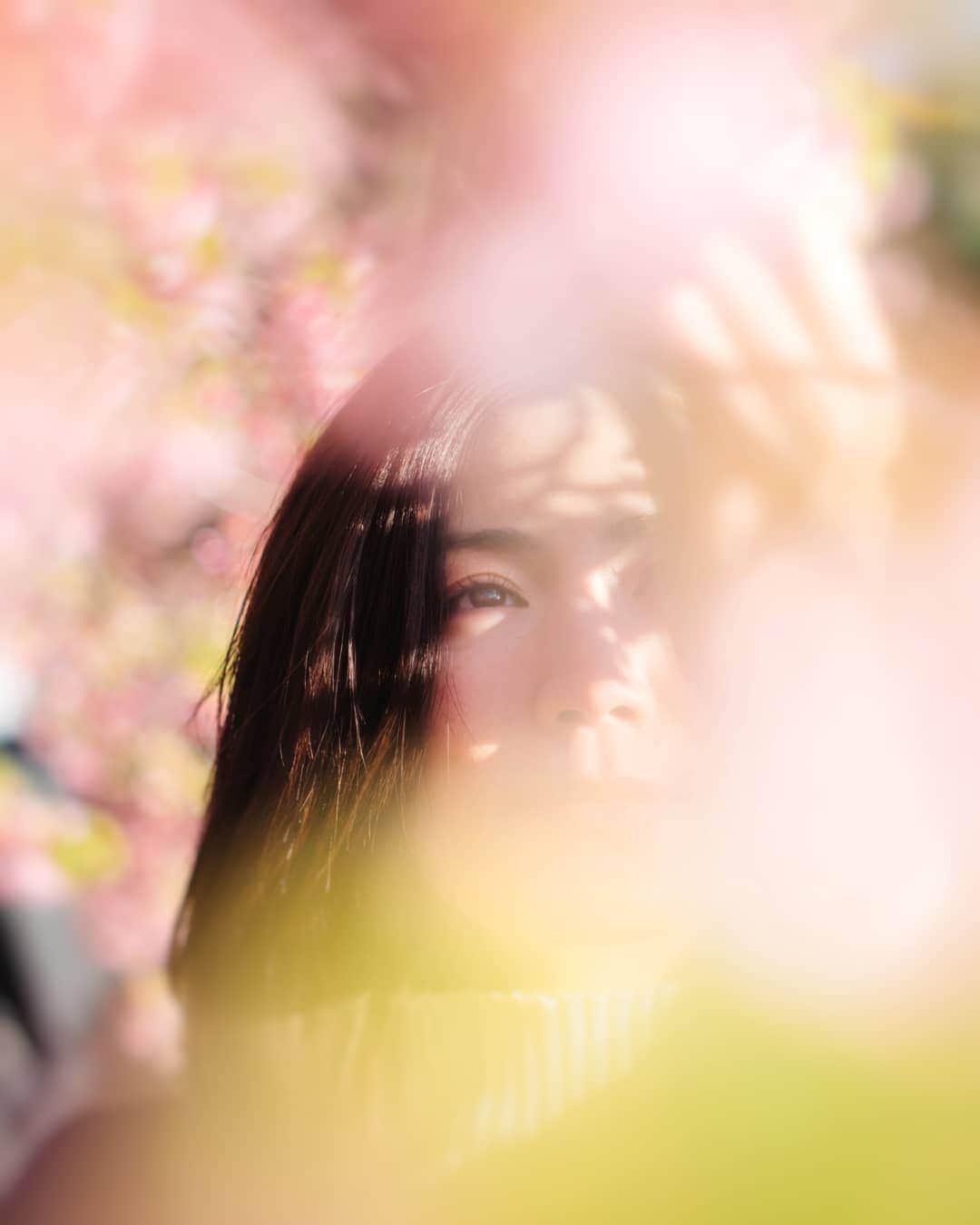 のインスタグラム：「🌸👁️🌸 Tokyo/Japan ・ #桜#cherryblossoms ・ ・ ▼Follow & Tag▼ @team_jp #team_jp_ @indies_gram #indies_gram ・ ・」