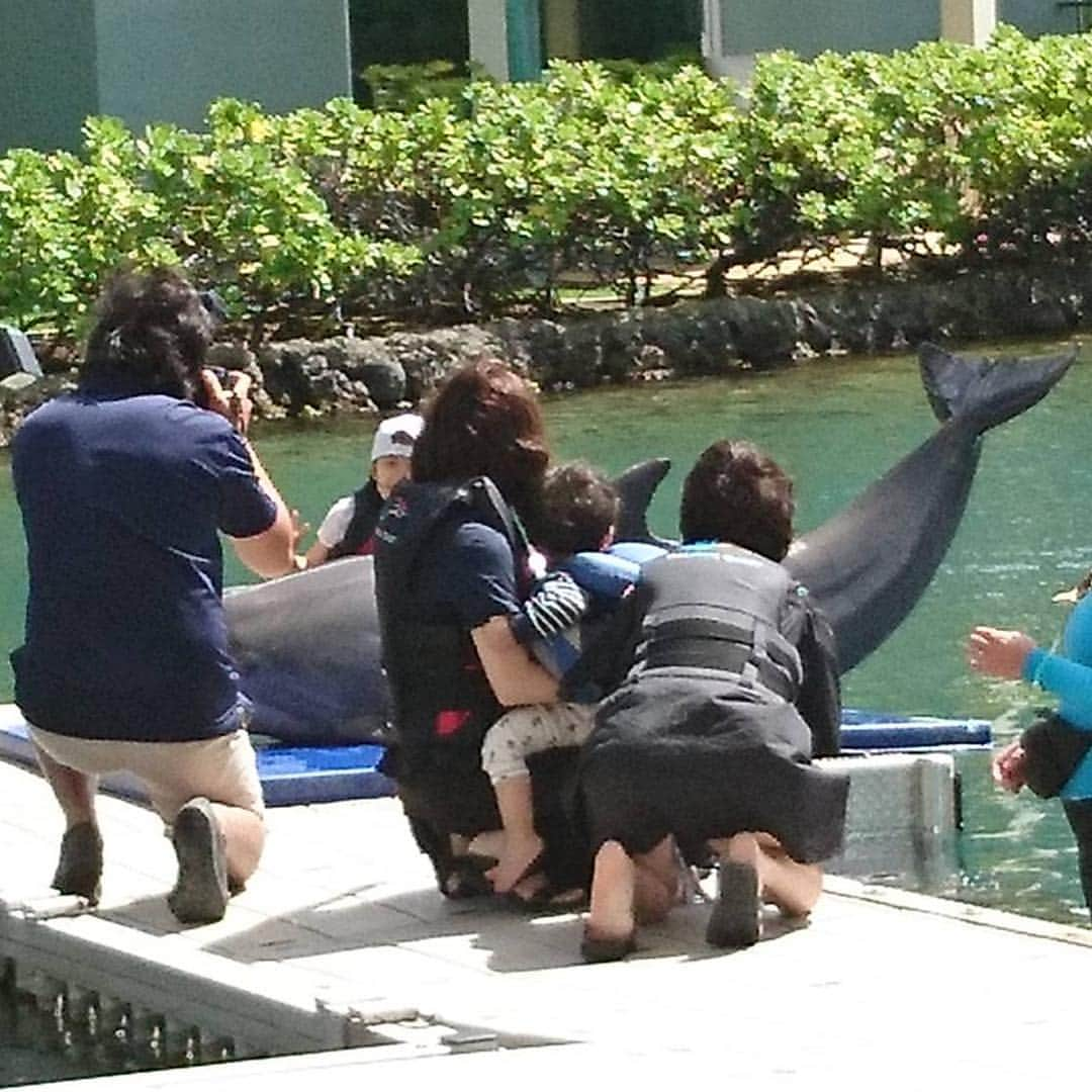 松丸友紀さんのインスタグラム写真 - (松丸友紀Instagram)「イルカさんふれあい体験。 イルカさんが水バシャンしてくれたのが怖かったみたいでギャン泣き。 でもイルカさん近くに来てくれたら大喜び☺️ 親の方が楽しんでたかも笑❤️ #イルカ #可愛かったな #とてもお利口さん #vacation  #ハワイ #hawaii #子連れハワイ」3月22日 9時41分 - yuki_matsumaru