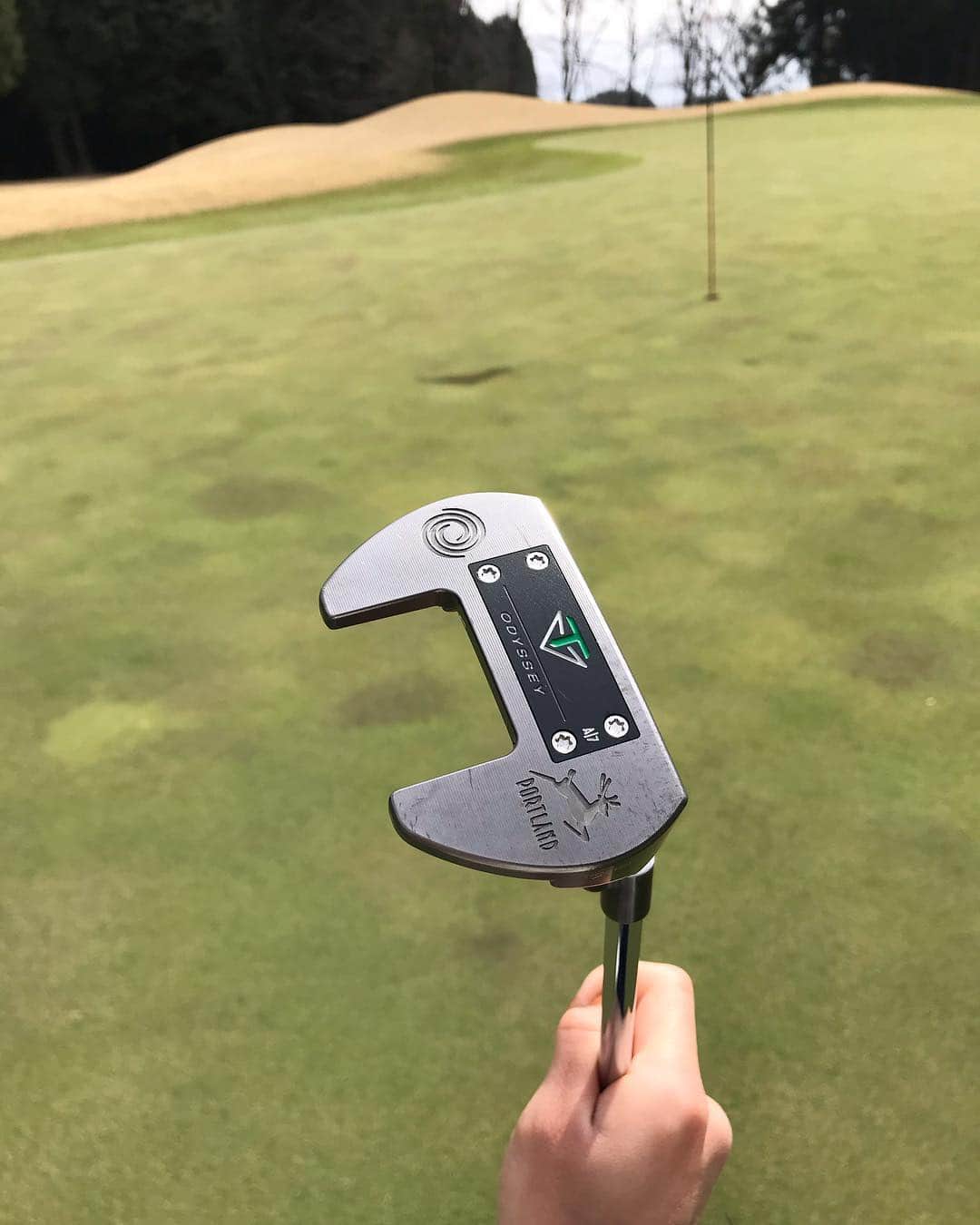 野田すみれのグルメインスタ