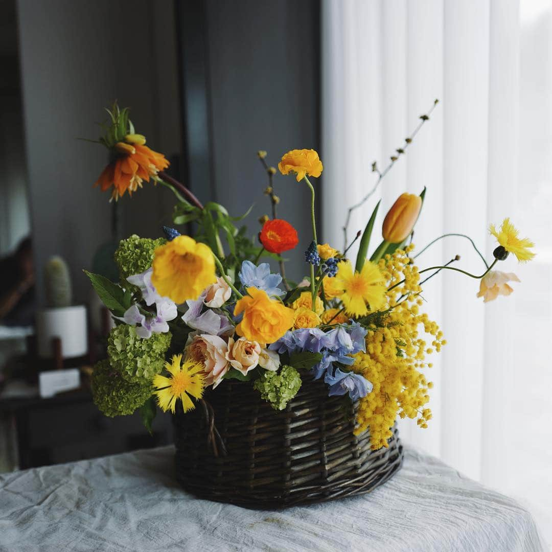 JF flower Shopさんのインスタグラム写真 - (JF flower ShopInstagram)「🌼여유넘치네 오늘 🌼  Jf flower shop. . . . .#2019jfflowershop #jfflowershop #flower #florist #floral #flowerlesson #wedding #bouquet  #웨딩 #웨딩부케 #플로리스트 #플로리스트수업 #핸드타이드 #안양플라워레슨  #범계플라워레슨 #플로리스트과정 #플라워레슨 #꽃꽂이수업 #안양꽃집 #범계꽃집 #평촌꽃집 #과천꽃집 #인덕원꽃집 #동편마을꽃집 #꽃집창업 #취미 #花#花艺」3月22日 9時59分 - jfflowershop