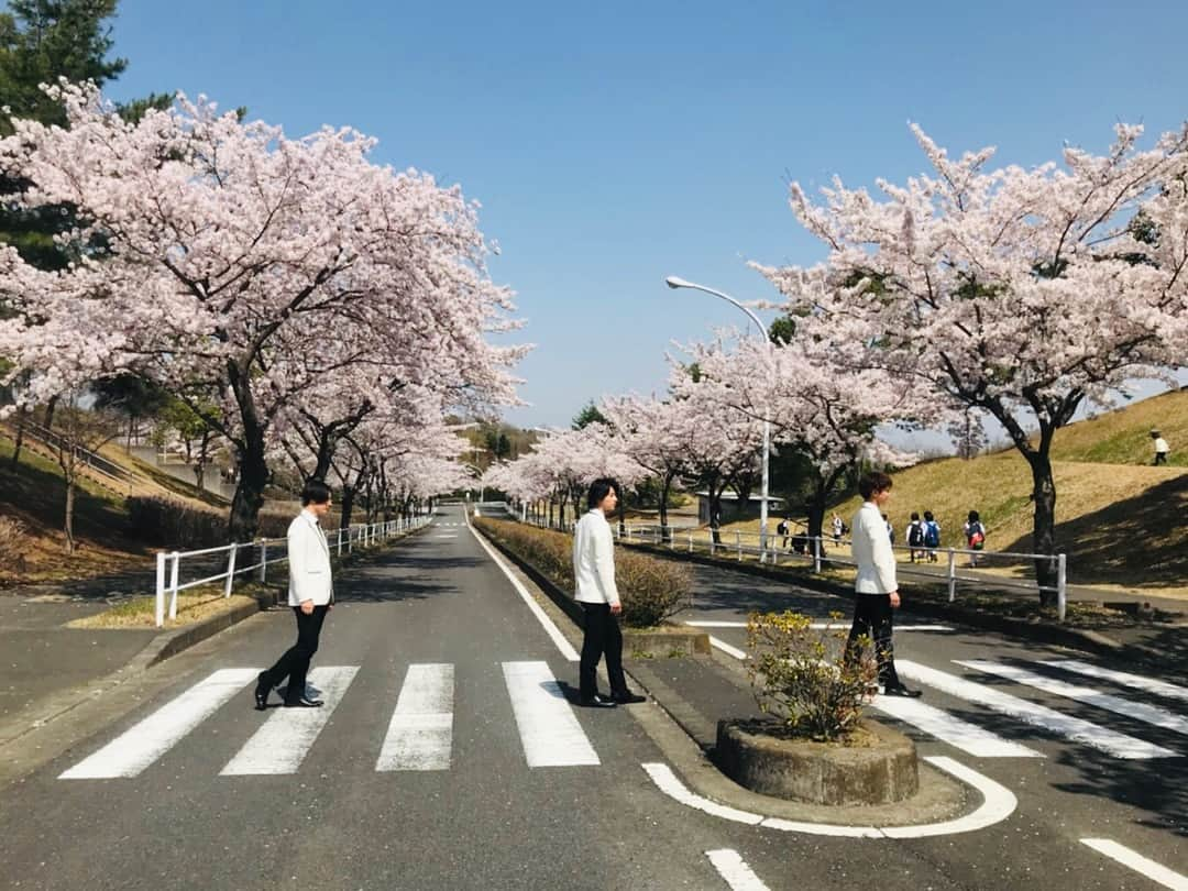 片寄涼太さんのインスタグラム写真 - (片寄涼太Instagram)「桜の開花宣言とともに "プリレジェ開花宣言"🌸🌸🌸 この桜が長くながーく 咲き続けますよう皆さま劇場へ 是非何度も何度も楽しみに行って頂けると とても嬉しいです🙏✨✨ 映画「PRINCE OF LEGEND」 ついに公開です‼️‼️ @prince.of.legend」3月22日 10時52分 - ryota_katayose__official