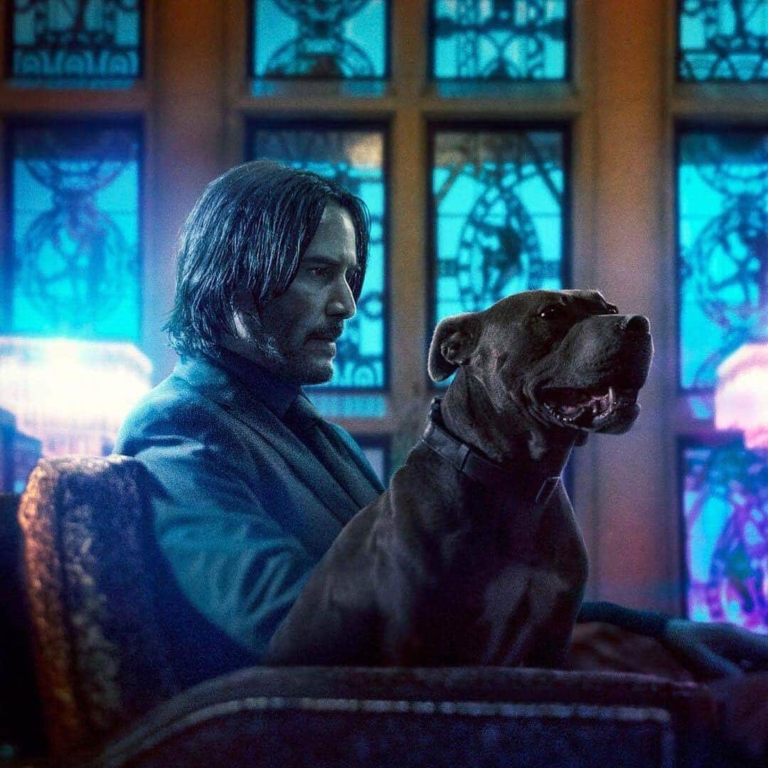 HYPEBEASTさんのインスタグラム写真 - (HYPEBEASTInstagram)「#hypeflix: The new trailer for @johnwickmovie promises “guns, lots of guns.” Head to the link in our bio to watch it and expect the movie to hit theaters on May 17. Photo: @lionsgate」3月22日 10時52分 - hypebeast