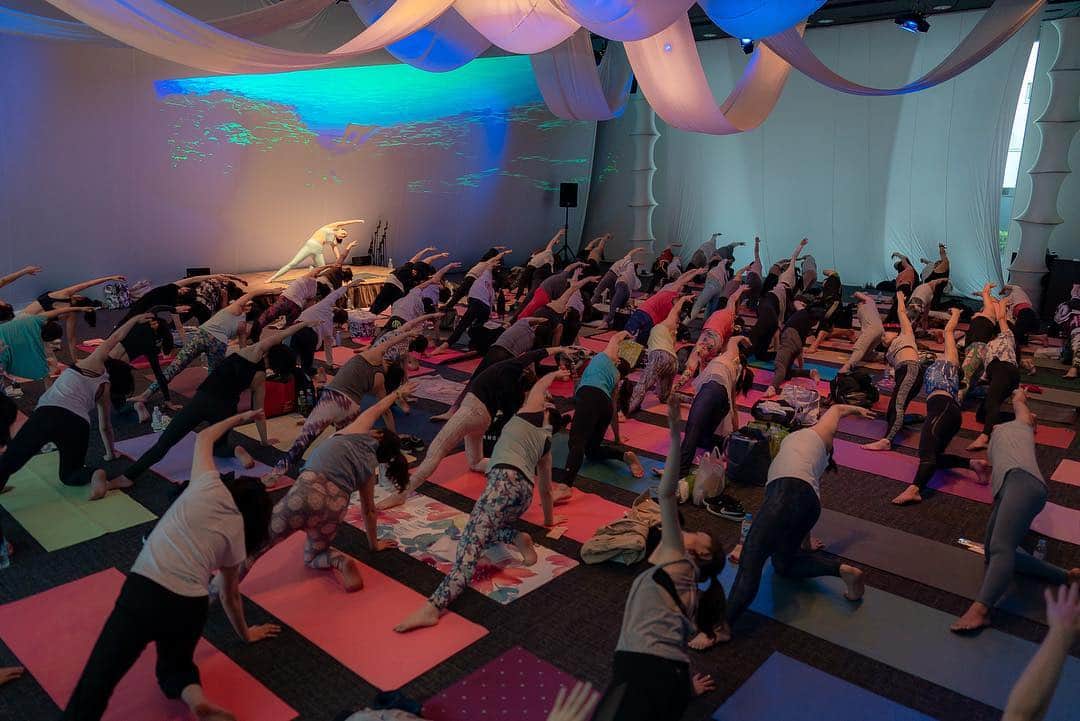 野沢和香さんのインスタグラム写真 - (野沢和香Instagram)「先日の  #DIVEintoYOURMIND @yogajapan.jp  素晴らしい写真を @yasuchin190 が撮ってくれたのでupさせてください！  今回の #yogajourney は @tomoka_fukuda との深海の旅🐬 グランブルーの世界に潜ったような、#ヨガジャパン ならではの会場の演出と、渾身の編集映像で🐋海の中みたいな気分を味わってもえるように🐳」3月22日 21時47分 - wakanozawa