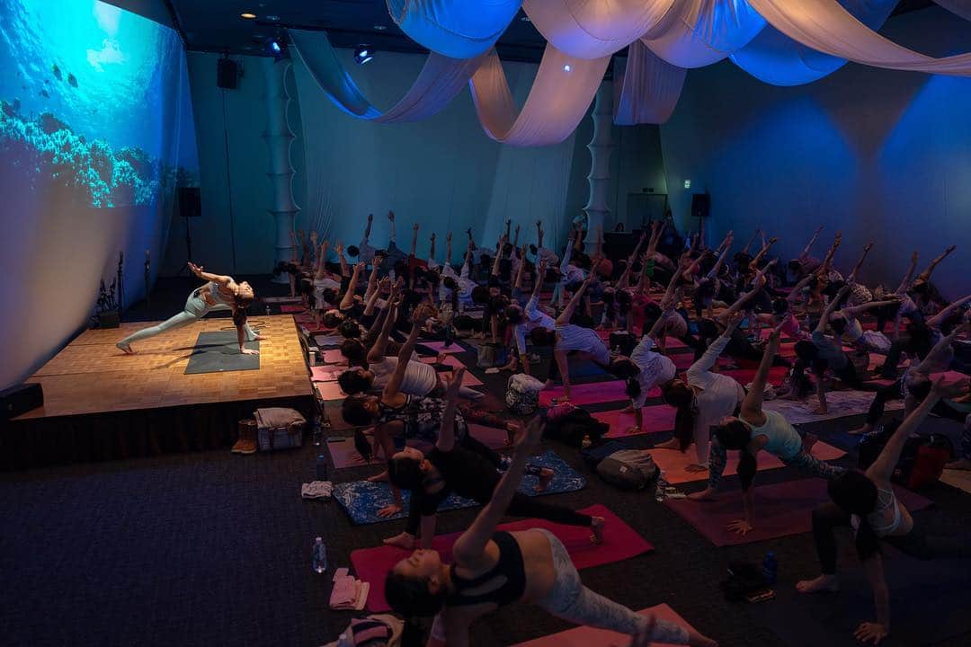 野沢和香さんのインスタグラム写真 - (野沢和香Instagram)「先日の  #DIVEintoYOURMIND @yogajapan.jp  素晴らしい写真を @yasuchin190 が撮ってくれたのでupさせてください！  今回の #yogajourney は @tomoka_fukuda との深海の旅🐬 グランブルーの世界に潜ったような、#ヨガジャパン ならではの会場の演出と、渾身の編集映像で🐋海の中みたいな気分を味わってもえるように🐳」3月22日 21時47分 - wakanozawa