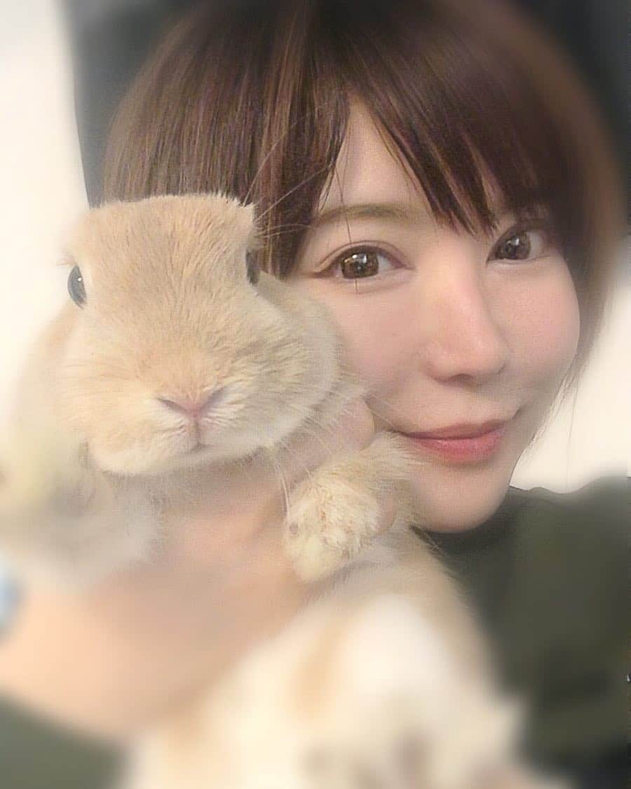 のインスタグラム：「ポン太とゆりあを宜しくお願いします🤲 #ご挨拶#うさぎ#ネザーランドドワーフ#rabbit#love#ふわもこ部#うさぎ好きさんと繋がりたい」